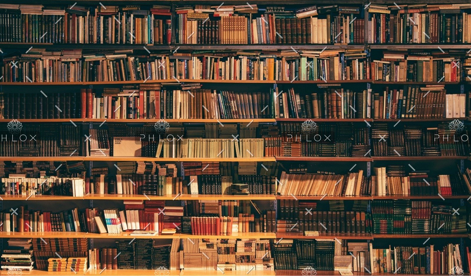 WIRED’s 14 Must-Read Books of Summer