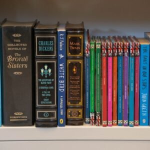 A Tale of Two Cities Notes: Summaries, Themes, and Study Resources