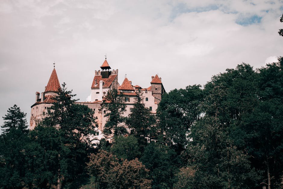 The Count Dracula Vampire: Character Origins and Legacy