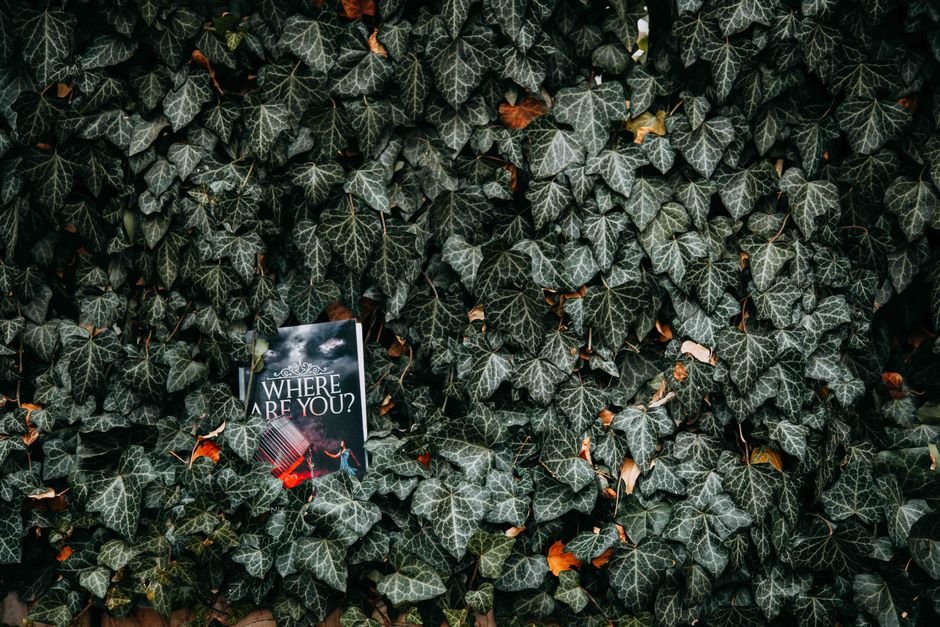 The Mysterious Affair at Styles: Agatha Christie’s First Hercule Poirot Mystery