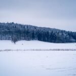 Ethan Frome Book Summary: A Tragic Tale by Edith Wharton