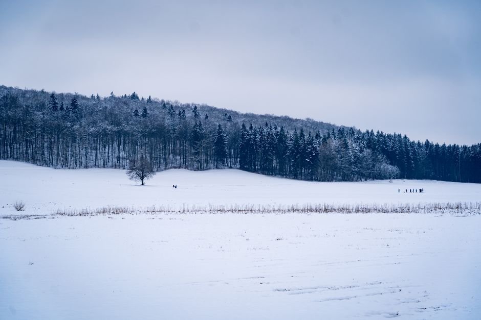 Ethan Frome Book Summary: A Tragic Tale by Edith Wharton